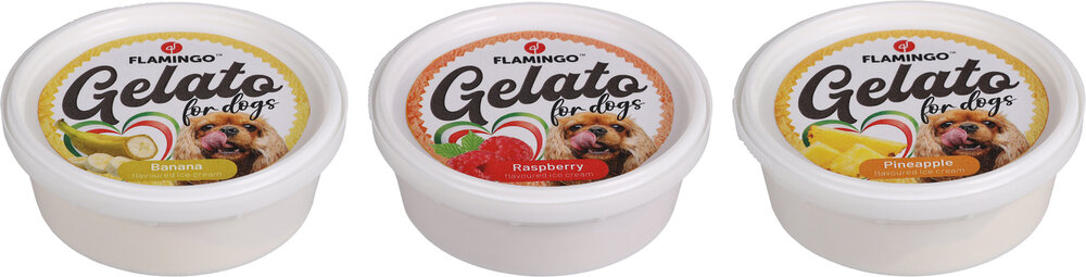Snack Gelato Ijs met ananas- &amp; banaan- &amp; framboossmaak
