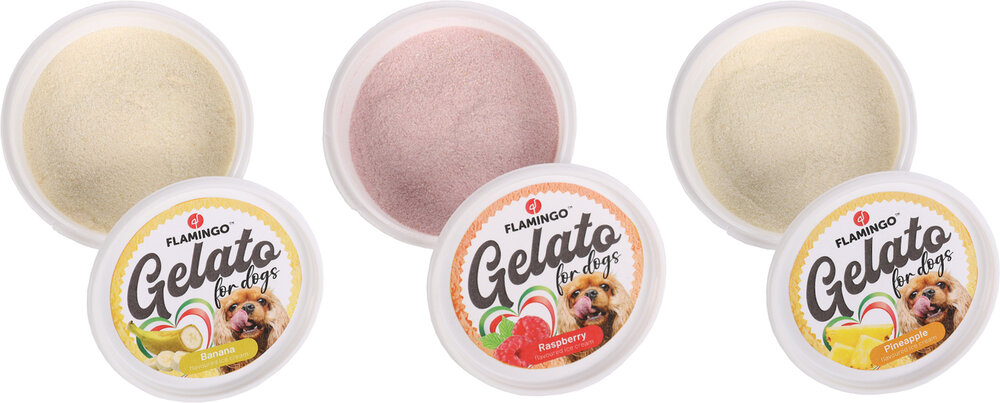 Snack Gelato Ijs met ananas- &amp; banaan- &amp; framboossmaak