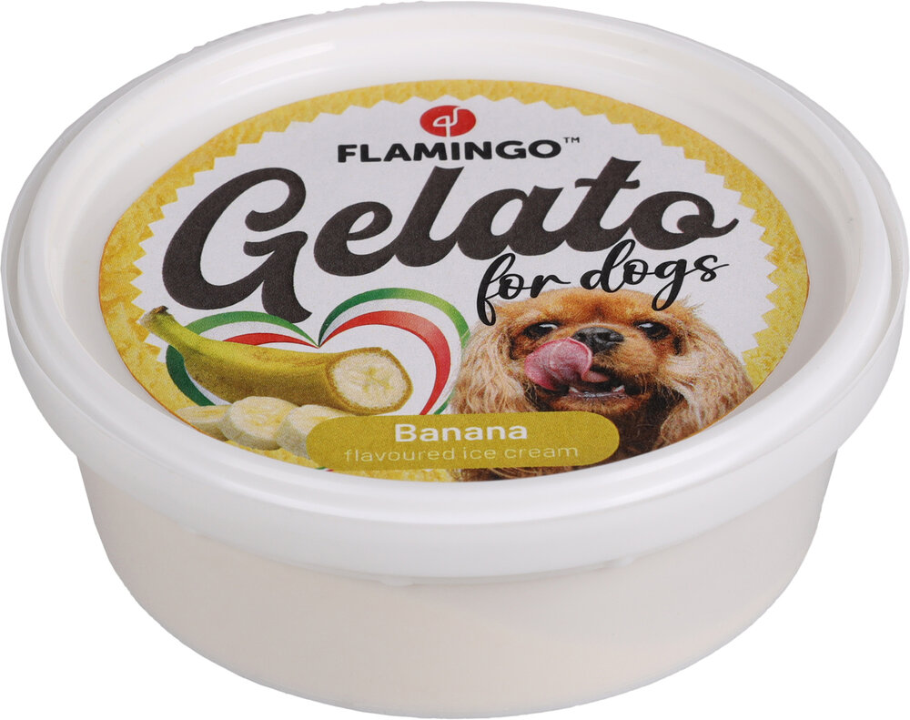 Snack Gelato Ijs met ananas- &amp; banaan- &amp; framboossmaak