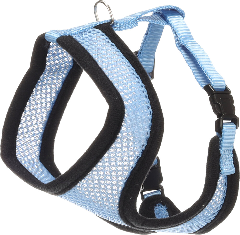 Harnas met looplijn voor kittens Harms Blauw