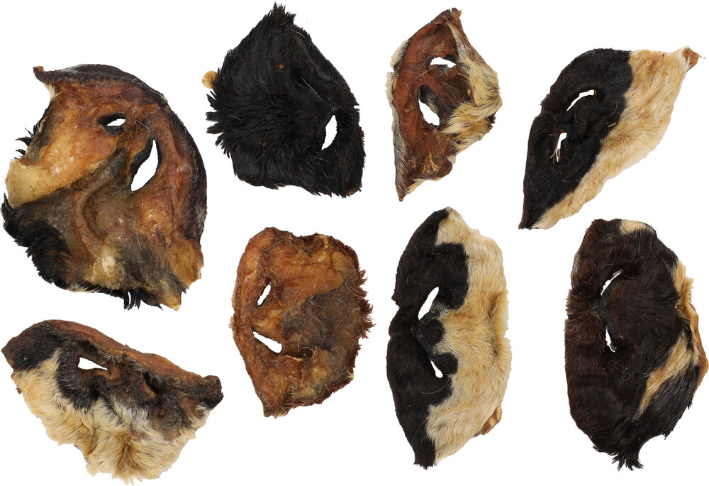 Snack Nature Geitenneus met haar