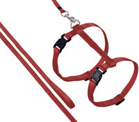 Harnas met looplijn Ziggi Rood