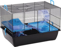 Kooi Jaro 2 Blauw Zwart