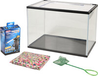 Aquarium Lollipop