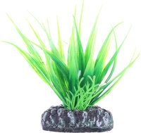 Decoratie Fiji Meerdere uitvoeringen Plant