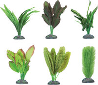 Decoratie Congo Meerdere uitvoeringen Plant