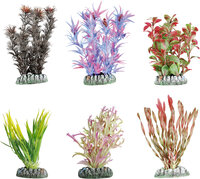 Decoratie Guyana Meerdere kleuren Plant
