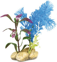Decoratie Botanica Meerdere kleuren Plant