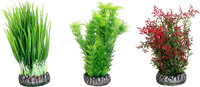 Decoratie Sri Lanka Meerdere kleuren Plant
