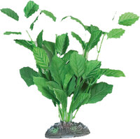 Decoratie Brasil Meerdere kleuren Plant