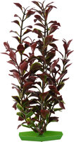 Decoratie Meerdere kleuren Plant