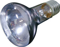 Daglichtspot Joule Zilver