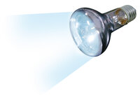 Daglichtspot Joule Zilver