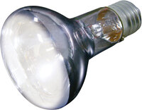 Warmtespot Voltaire Zilver