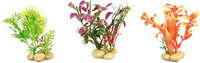 Decoratie Meerdere kleuren Plant