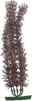 Decoratie Meerdere kleuren Plant