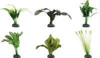 Decoratie Congo Groen Plant