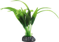 Decoratie Congo Groen Plant