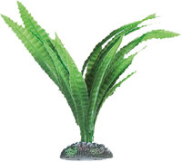 Decoratie Congo Meerdere uitvoeringen Plant