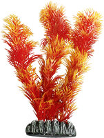 Decoratie Cuba Oranje Plant