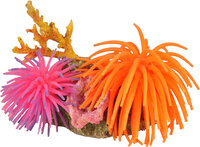 Decoratie Leo Meerdere kleuren Anemoon Rots