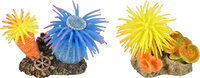 Decoratie Leo Meerdere kleuren Anemoon Rots