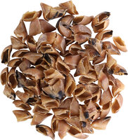Snack Nature Kalfshoef