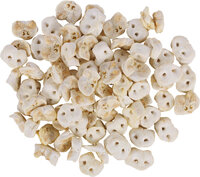 Snack Nature Varkensneus