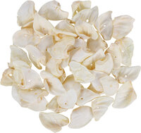 Snack Nature Varkensoor