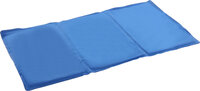 Koelmat Frosty Rechthoekig Blauw