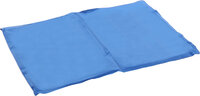 Koelmat Frosty Rechthoekig Blauw