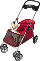 Buggy Damio Rood