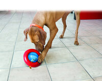 Kong Speelgoed Gyro met bal Rood
