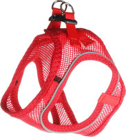 Harnas Step&amp;Go Bento Rood