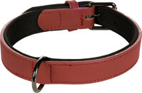 Halsband met neopreen Binti Rood