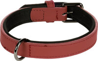 Halsband met neopreen Binti Rood