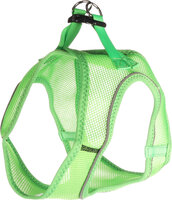 Harnas Step&amp;Go Bento Groen