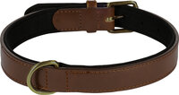 Halsband met neopreen Lyabo Bruin
