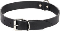 Halsband Seattle Zwart