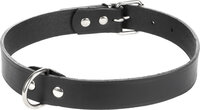 Halsband Seattle Zwart
