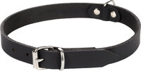 Halsband Seattle Zwart