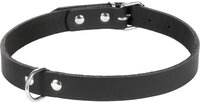 Halsband Seattle Zwart