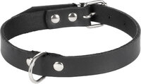 Halsband Seattle Zwart