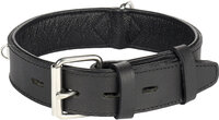 Halsband Gevoerd Breed Seattle Zwart