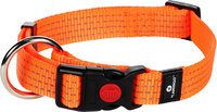 Halsband Len Fluo oranje