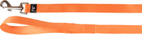 Looplijn Ziggi Oranje