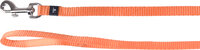 Looplijn Ziggi Oranje