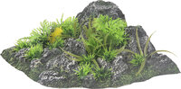 Decoratie Condroz Grijs Rots Plant
