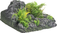 Decoratie Condroz Grijs Rots Plant