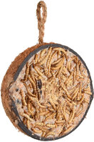 Four Seasons Halve voederkokosnoot Gevuld met meelwormen &amp; met noten &amp; met zaden - Buitenvogels